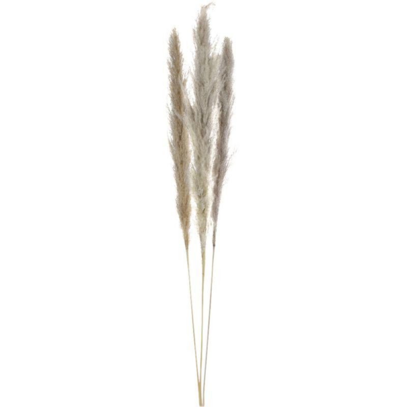 KUNSTBLOEM PAMPAS PLUIMEN MAT 115CM - 101 9271 - 101-9271