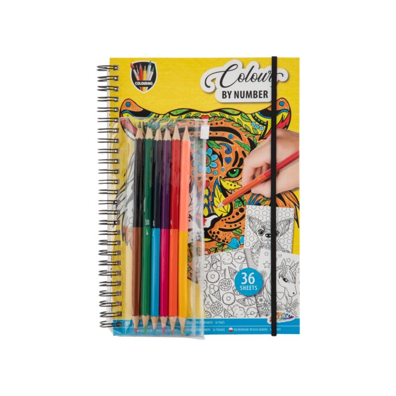 KLEURBOEK KLEUREN OP NUMMER MET 6 POTLOD - 250 1581 - 250-1581