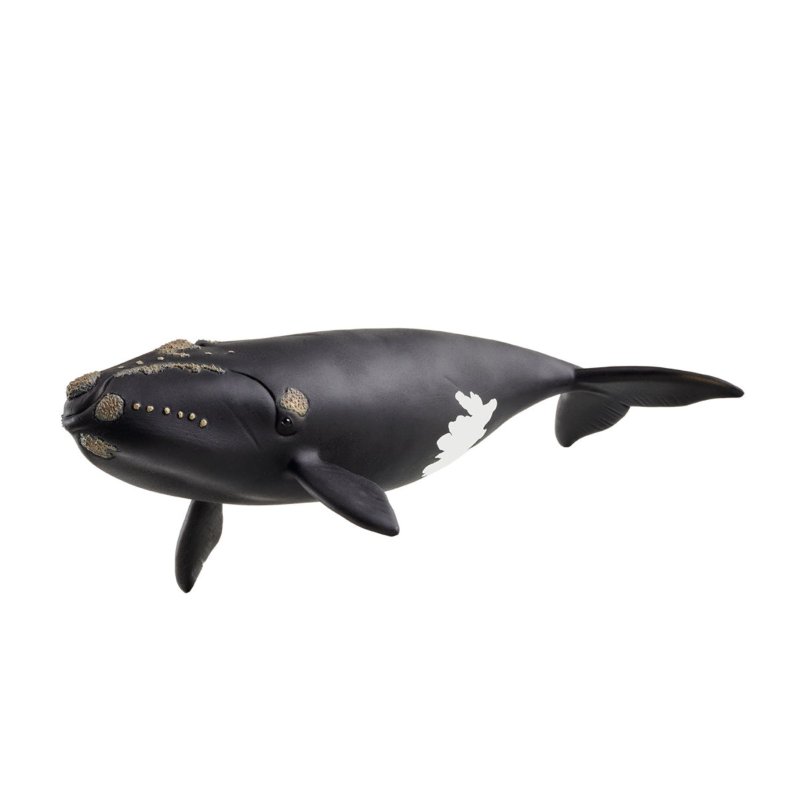 SCHLEICH 14878 NORTH ATLANTIC RIGHT WHAL - 446 2241 - 446-2241