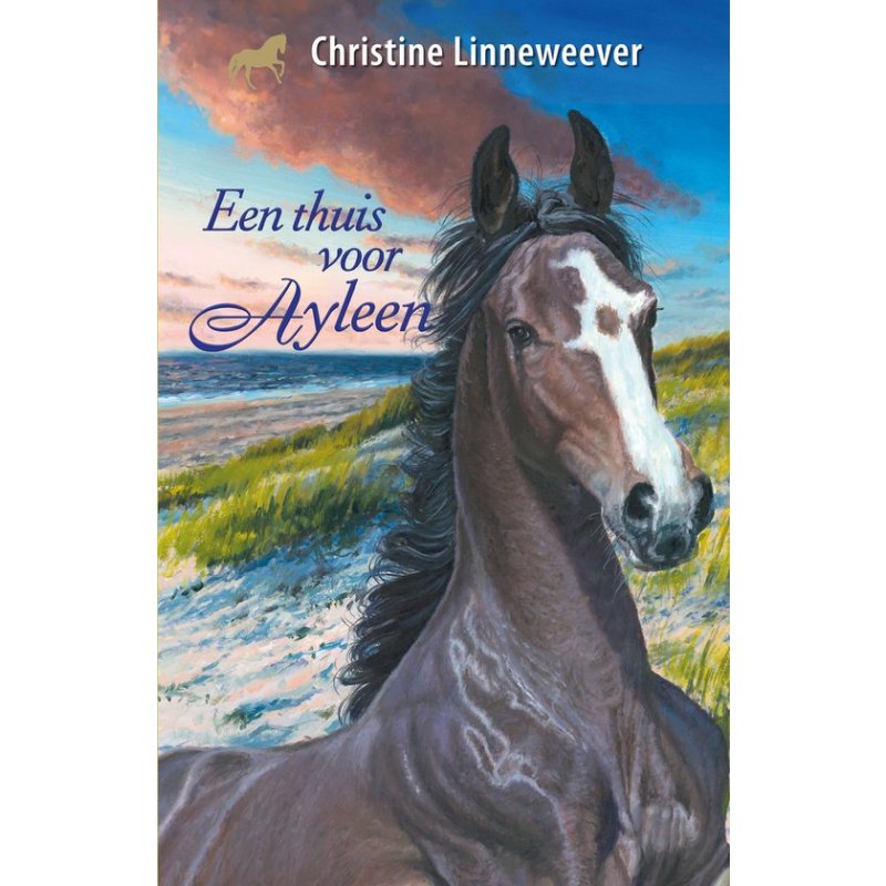 EEN THUIS VOOR AYLEEN - 543x840 2 - *0010244238