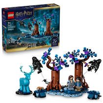 LEGO 76475 HARRY POTTER VERBODEN BOS PAT - 5702018062449 - *0010262867