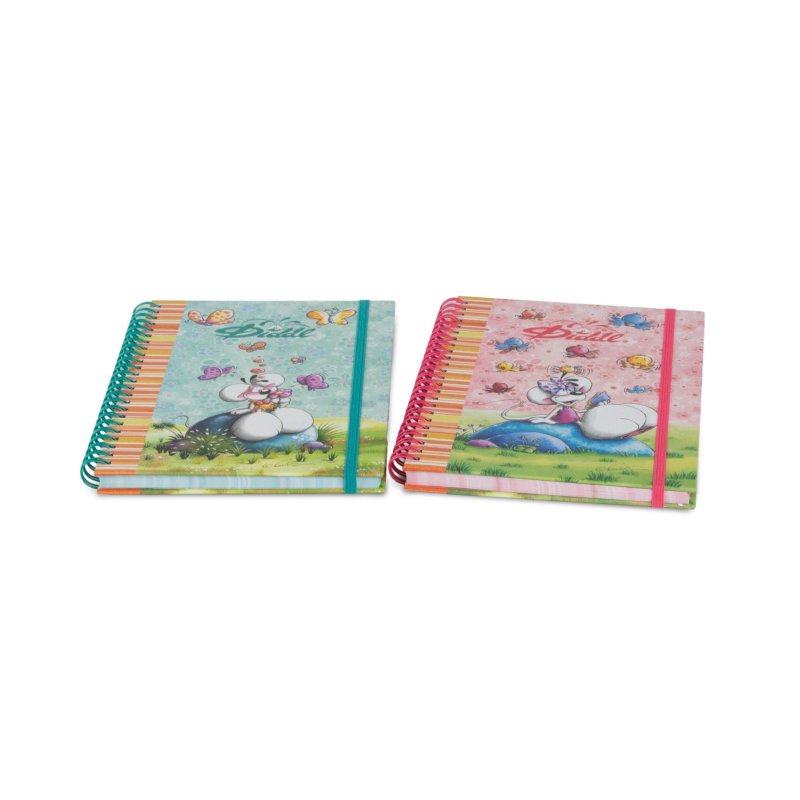 DIDDL A5 SPIRAAL NOTITIEBOEK 2 ASST - 655 9570 - 655-9570