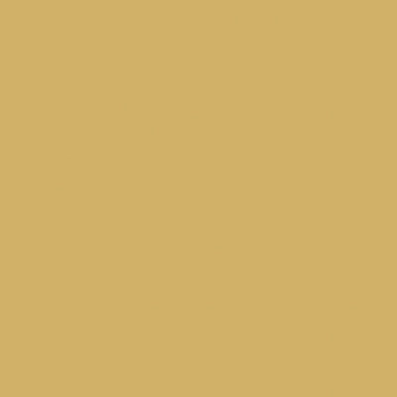 DUNI SERVETTEN GOLD 33X33 - 7321011058044 - 0250414