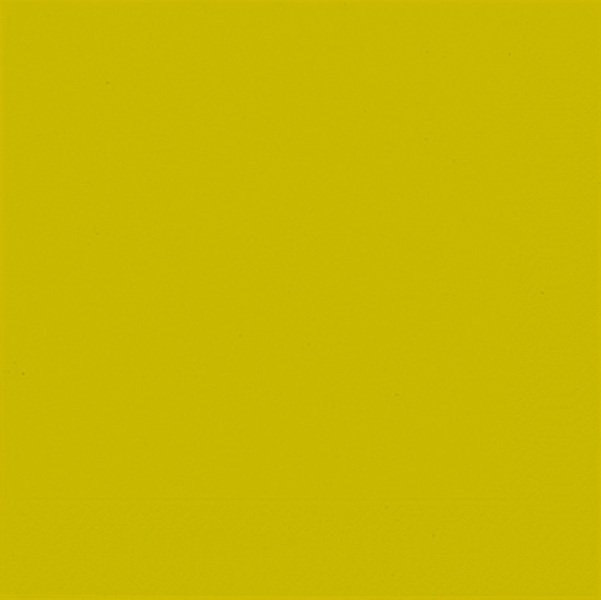 DUNI SERVETTEN KIWI 33X33CM - 7321011487332 - 0524179