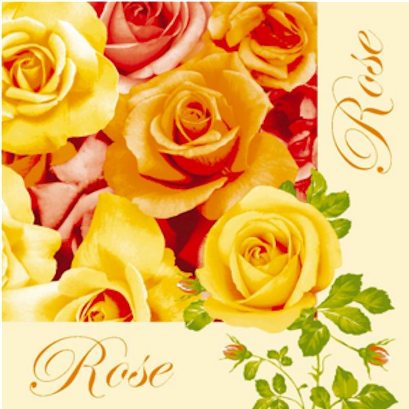 DUNI SERVETTEN BRILLIANCE ROSE DUNILIN 4 - 7321011609567 - 7321011609567