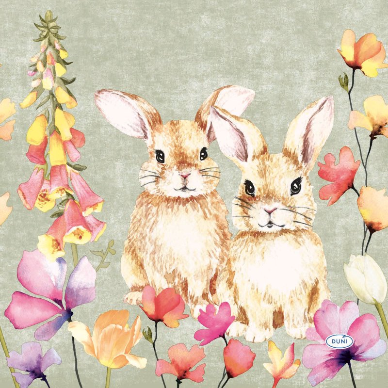 DUNI SERVETTEN FLORAL FRIENDS 33X33CM - 7321012116927 - 7321012116927