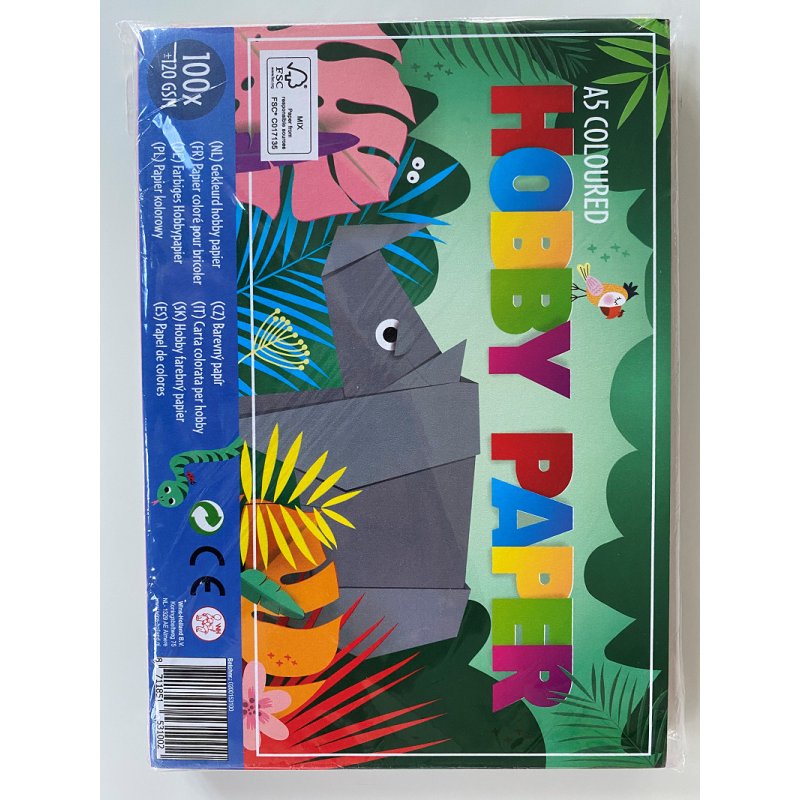 HOBBYPAPIER GEKLEURD 100VEL A5 - 8711851531002 - 2006863