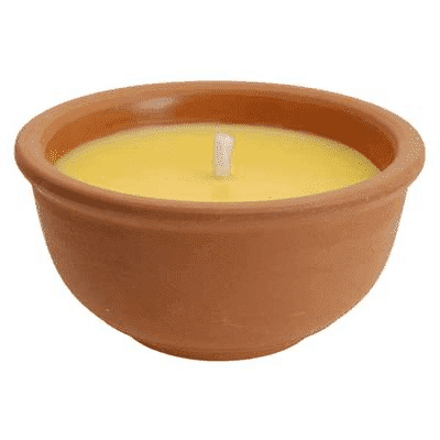 CITRONELLAKAARS IN TERRA POTJE - 8718158588227 - 9207066