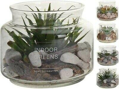 INDOOR GREENS VETPLANT IN GLAZEN POT ASS - 8719987296956 - D22300080