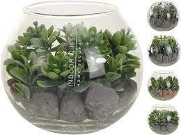 DECO VETPLANTJES IN GLAZEN POT - 8719987326745 - D22300100
