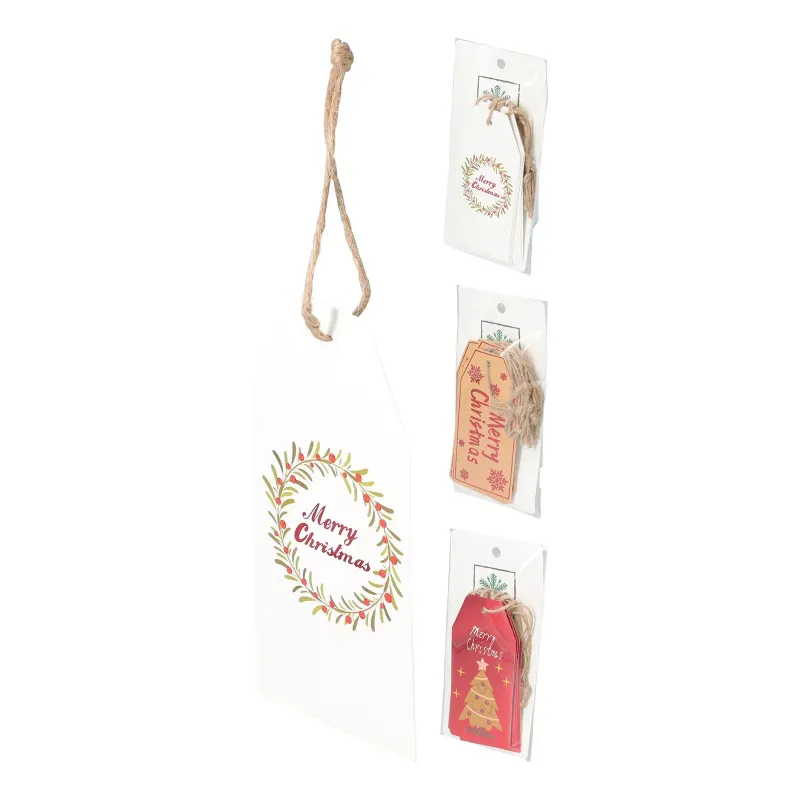 KERST GESCHENKKAARTJES 10ST ASSORTI - 8721037715645 - CAA822160