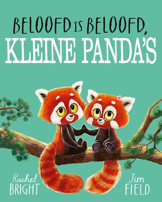 BELOOFD IS BELOOFD KLEINE PANDA - 9789025778750 - *0010236786