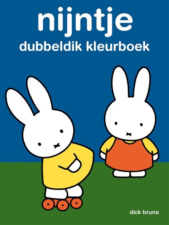 NIJNTJE DUBBELDIK KLEURBOEK - 9789047880165 - *0010267046