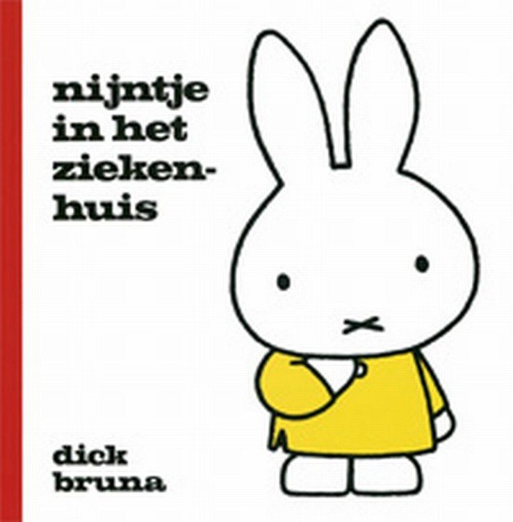BOEK NIJNTJE IN HET ZIEKENHUIS - 9789073991873 - 1769187