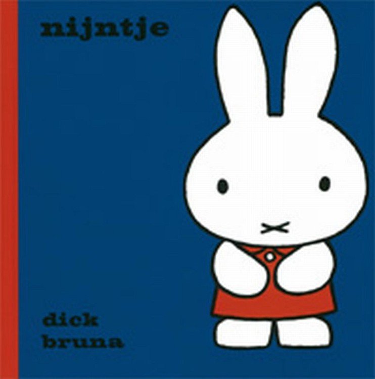 BOEK NIJNTJE - 9789073991927 - 1769192