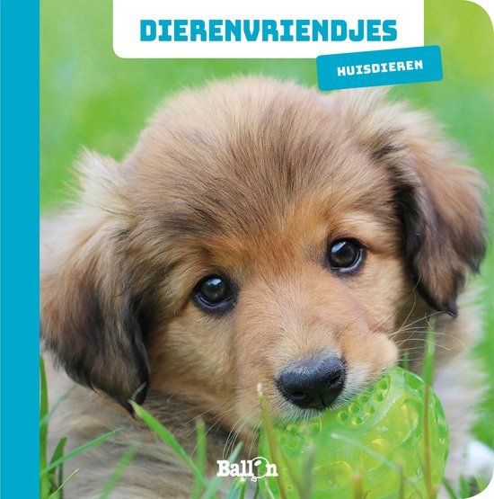 BOEK DIERENVRIENDJES KARTONBOEK HUISDIER - 9789403212197 - 655-2197