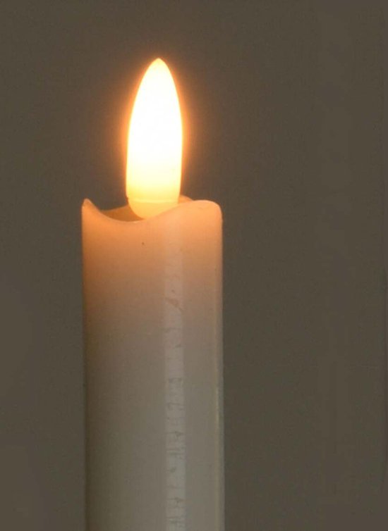 LEDKAARS DINNER 2ST 2.5X24CM - Dinerkaars2x - AX5430060